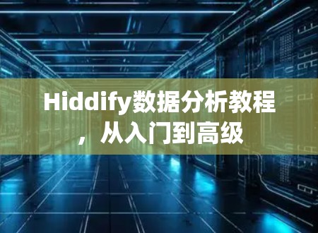 Hiddify数据分析教程,从入门到高级