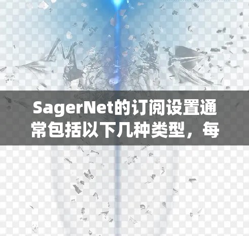SagerNet的订阅设置通常包括以下几种类型,每个订阅类型有不同的功能和配置要求