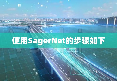 使用SagerNet的步骤如下