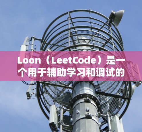 Loon（LeetCode）是一个用于辅助学习和调试的工具，可以帮助开发者更高效地解决问题并提升代码质量。以下是一些常见的 Loon 的配置方法，供你参考
