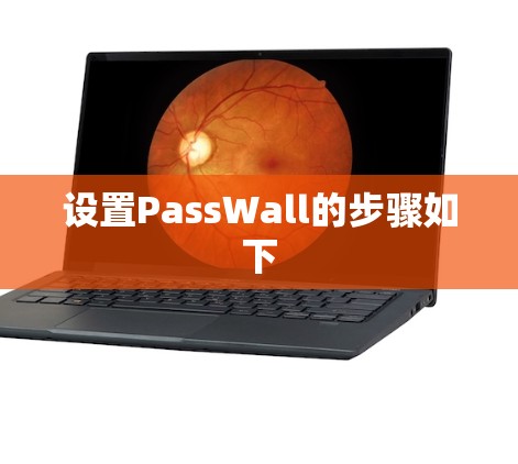 设置PassWall的步骤如下