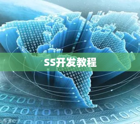 SS开发教程