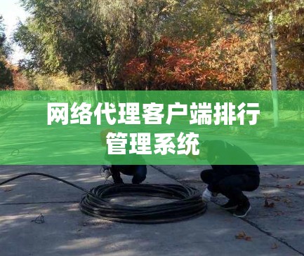 网络代理客户端排行管理系统 网络代理客户端排行管理系统