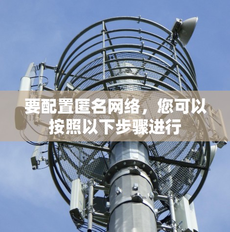 要配置匿名网络,您可以按照以下步骤进行