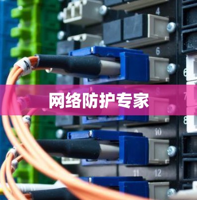 网络防护专家