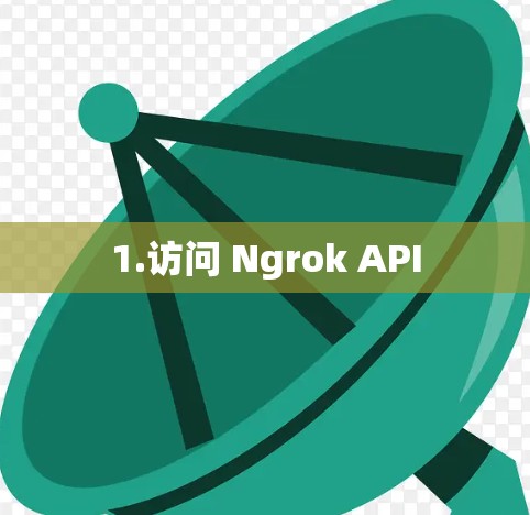 1.访问 Ngrok API 1.访问 Ngrok API