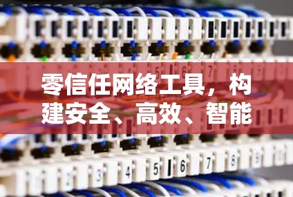 零信任网络工具，构建安全、高效、智能的网络解决方案，零风险，零投诉