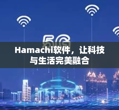 Hamachi软件,让科技与生活完美融合 Hamachi软件,让科技与生活完美融合