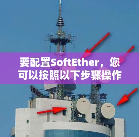 要配置SoftEther，您可以按照以下步骤操作