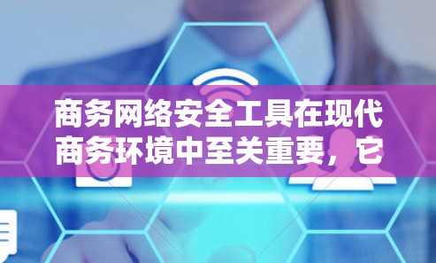 商务网络安全工具在现代商务环境中至关重要，它们帮助企业保护内部网络和用户数据，防止恶意攻击和数据泄露。以下是对商务网络安全工具的分类和总结