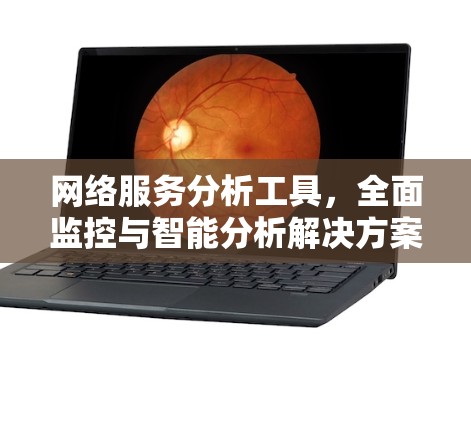 网络服务分析工具，全面监控与智能分析解决方案