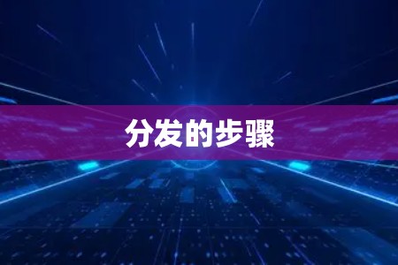 分发的步骤