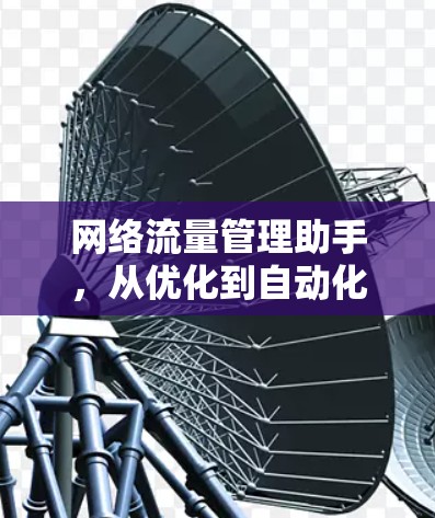 网络流量管理助手,从优化到自动化