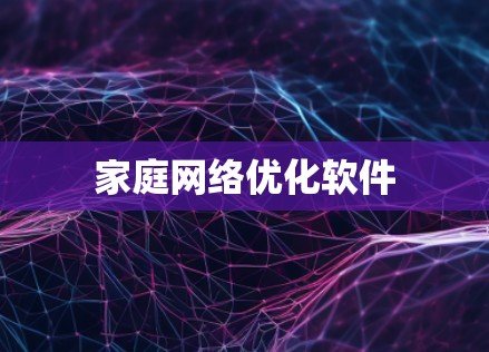 家庭网络优化软件 家庭网络优化软件