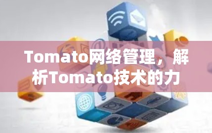 Tomato网络管理,解析Tomato技术的力量 Tomato网络管理,解析Tomato技术的力量