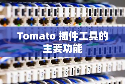 Tomato 插件工具的主要功能 Tomato 插件工具的主要功能