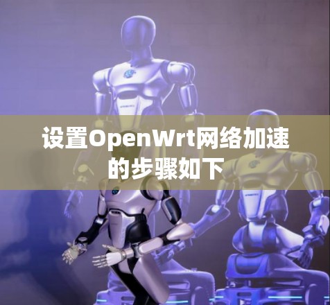 设置OpenWrt网络加速的步骤如下 设置OpenWrt网络加速的步骤如下