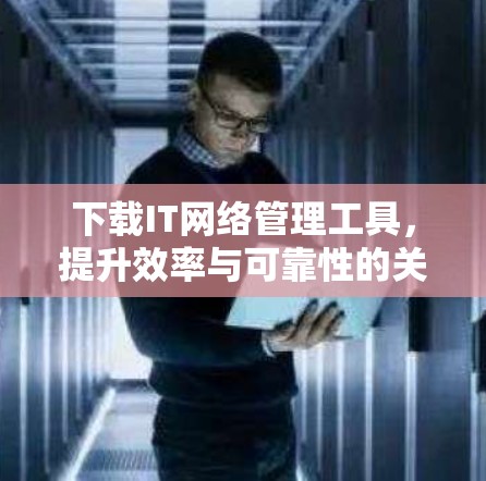 下载IT网络管理工具，提升效率与可靠性的关键
