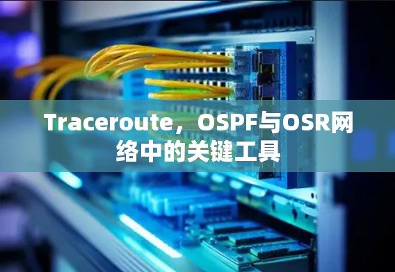 Traceroute，OSPF与OSR网络中的关键工具