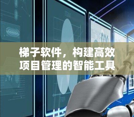 梯子软件,构建高效项目管理的智能工具