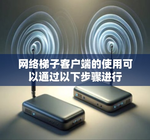 网络梯子客户端的使用可以通过以下步骤进行