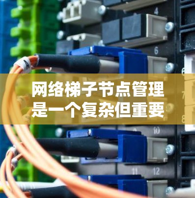 网络梯子节点管理是一个复杂但重要的过程，涉及多个步骤和工具的使用。以下是对网络梯子节点管理的详细总结