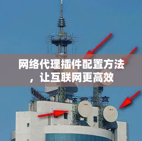 网络代理插件配置方法,让互联网更高效