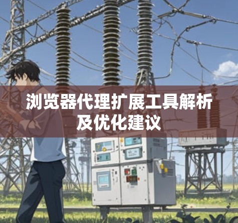浏览器代理扩展工具解析及优化建议