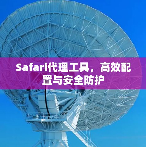 Safari代理工具,高效配置与安全防护