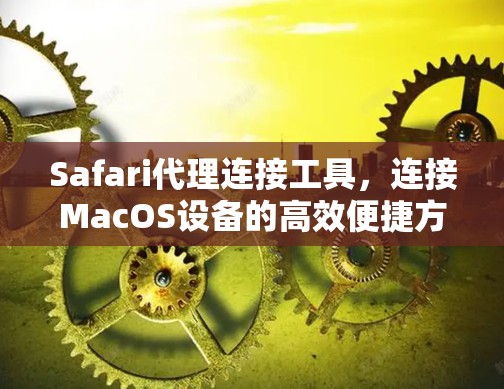 Safari代理连接工具，连接MacOS设备的高效便捷方法