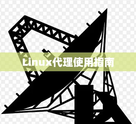 Linux代理使用指南