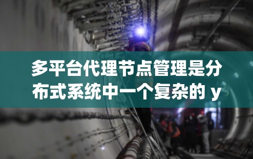 多平台代理节点管理是分布式系统中一个复杂的 yet 高效的解决方案,它允许在支持多种操作系统或虚拟化环境的平台上运行应用。以下是对多平台代理节点管理的详细总结