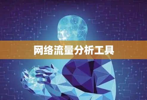 网络流量分析工具