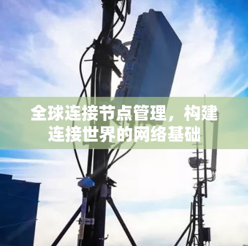 全球连接节点管理,构建连接世界的网络基础