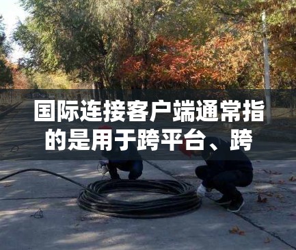 国际连接客户端通常指的是用于跨平台、跨设备之间的连接工具或应用。这些客户端能够帮助用户在不同设备之间进行信息交换、文件传输、游戏连接等操作。以下是一些常见的国际连接客户端