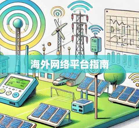 海外网络平台指南