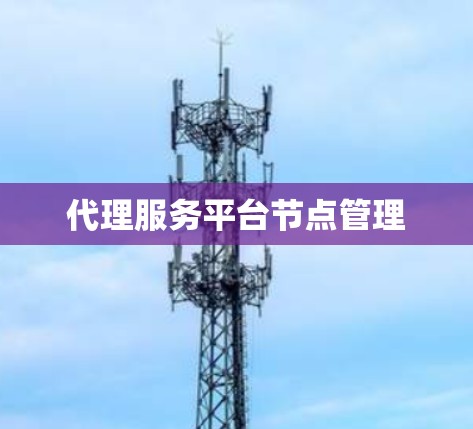 代理服务平台节点管理