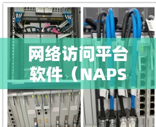 网络访问平台软件（NAPSS）是用于网络访问管理的工具，旨在确保员工和管理员能够正确访问和控制网络资源，防止未经授权的访问和数据泄露。以下是对NAPSS的详细介绍