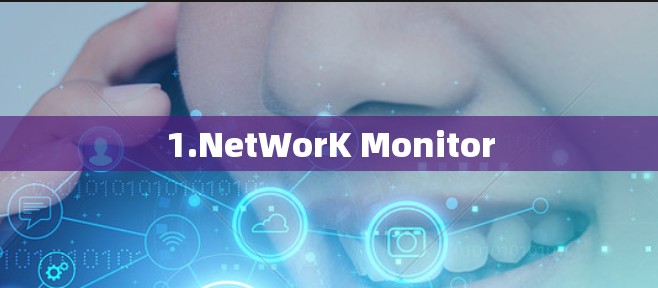 1.NetWorK Monitor 1.NetWorK Monitor