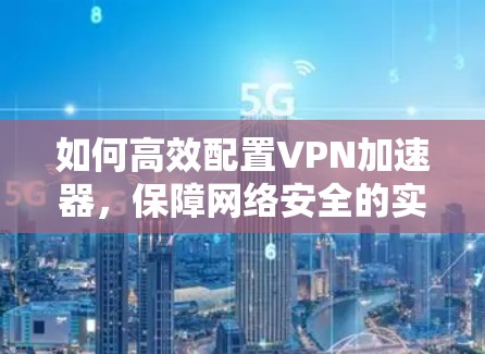 如何高效配置VPN加速器,保障网络安全的实用指南