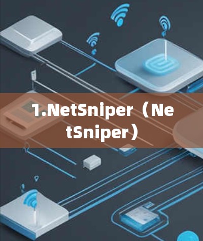 1.NetSniper(NetSniper)