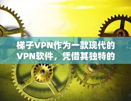 梯子VPN作为一款现代的VPN软件,凭借其独特的梯子协议和丰富的功能,逐渐成为用户选择连接安全网络的首选工具。以下是针对梯子VPN的详细分析和推荐