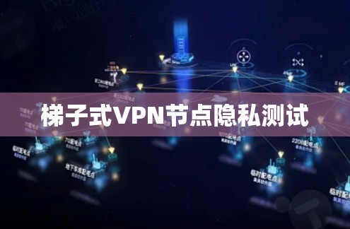 梯子式VPN节点隐私测试