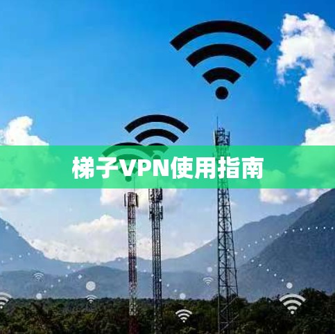 梯子VPN使用指南