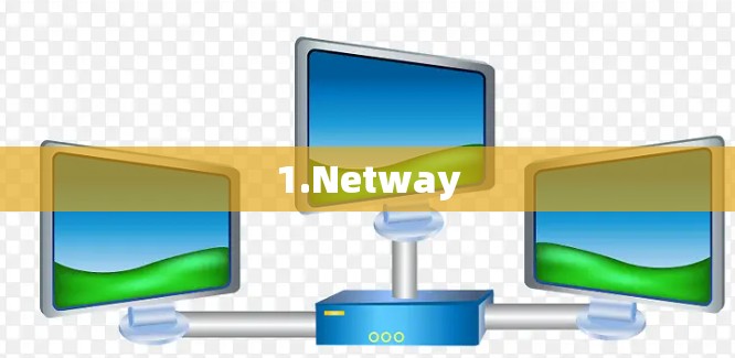 1.Netway