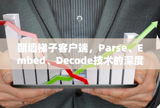 翻墙梯子客户端,Parse、Embed、Decode技术的深度探索与创新