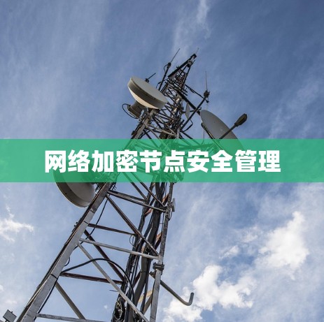 网络加密节点安全管理
