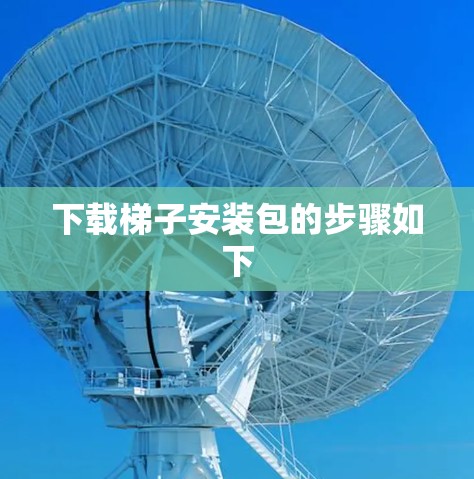 下载梯子安装包的步骤如下