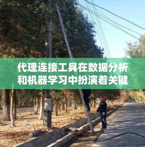 代理连接工具在数据分析和机器学习中扮演着关键的角色，用于连接数据源和目标系统，进行数据处理和模型训练。以下是对代理连接工具的详细总结和答案