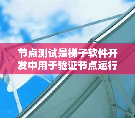 节点测试是梯子软件开发中用于验证节点运行状态的重要步骤,包括静态和动态两种类型。以下是详细的节点测试步骤和注意事项